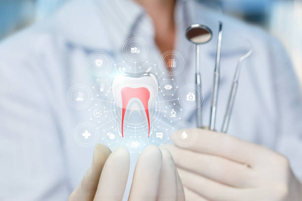 Best Traditional Braces  in Ranchester, WY